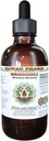 Hawaii Pharm Broccoli Alcohol-Free Liquid Extract, Organic Broccoli (Brassica Oleracea) Seed Glycerite Natural Herbal Supplement 4 oz
