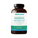 Rootcology by Dr. Izabella Wentz | Pancreatic Enzymes Plus | Enteric Coated Lipase, Protease & Amylase Blend with Bromelain | 90 Capsules