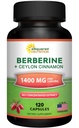aSquared Nutrition Berberine with Ceylon Cinnamon Supplement - Max Strength Complex - 120 Capsules - Berberine HCl 1200mg Per Serving - Premium Extract Plus Pills Alternative to Gummies & Drops