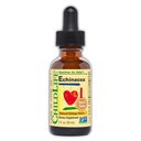 CHILDLIFE ESSENTIALS Echinacea for Kids - Kids Echinacea Drops, Liquid Vitamin Tincture, Alcohol Free Supplement for Babies, Toddlers, Children - Natural Orange, 1 Fl Oz (Pack of 1)