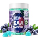 Pets Purest EAA Gummies 120 Gummies (Blueberry),Essential Amino Acids - All 9 Essential Aminos (EAA) and All Branched-Chain Aminos (BCAAs), Non-GMO, Gluten Free, Vegetarian Friendly