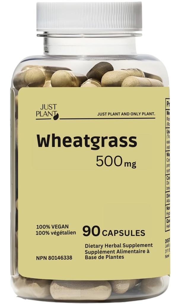 Organic Wheat Grass Capsules 500 mg, 90 Count | Detox, Energy, Digestion & Immune Support | Chlorophyll-Rich Green Superfood Supplements, Vegan, Gluten-Free Made in USA