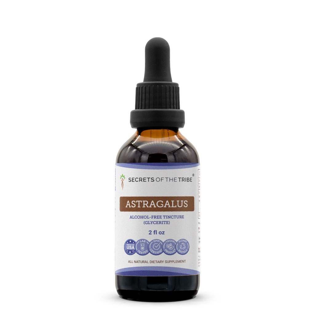 Secrets of the Tribe Astragalus Tincture Alcohol-Free Liquid Extract, Astragalus (Astragalus membranaceus) Dried Root (2 FL OZ)