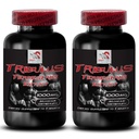 Natural Power Blend - TRIBULUS TERRESTRIS Extract - Active Living Support, Physical Energy Boost, Energy for Fitness, Strength and Endurance, Active Living, Energy, Energy 2 Bottles 180 Tablets