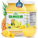 EverSmith Organics Wildcrafted Irish Sea Moss Gel, Pineapple, 1 Jar, 16 oz | Made in USA, Rich in Nutrients, Sea Moss Gel Raw, Vegetables & Fruits, Sustainably Harvested, Essential Vitamins and Minerals