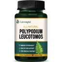Polypodium Leucotomos Extract Capsules for Immune & Skin Health | Highly concentrated Herbal Supplement, Support Free Radicals Defense, 90 Counts - Lasts 3 Months