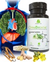 Respiratory Support Supplement with Mullein Leaf, NAC & Stinging Nettle | Airway & Breathing Wellness Formula | 60 Veg Capsules