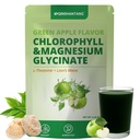 Magnesium Glycinate & Chlorophyll Powder with L-Theanine, Lion's Mane | Calm Sleep Support, Stress Relief & Detox | Superfood Juice Powder | Vegan, Non-GMO, Green Apple Flavor | 30 Servings