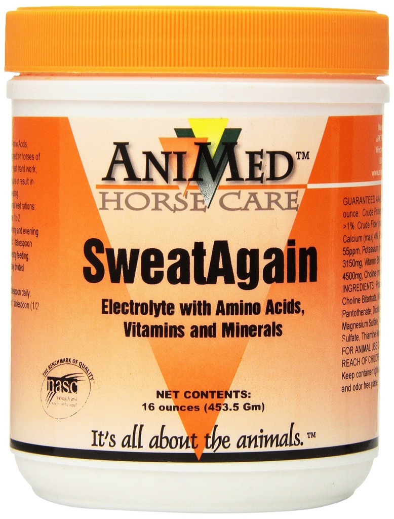 SWEATAGAIN Electrolyte 1#