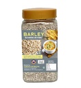 Pmw - Barley Grains - Jar Pack - Jav - Cleaned - Hordeum Vulgare - 300 Grams