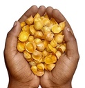 AF NOMAN Organic Natural Kashmiri Garlic Lehsun | Himalayan Single Clove Garlic Grade-A Qualilty 200 Gram | Organic Product
