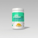 Gro Strong Lean – High Protein Weight Management Meal Replacement Shake– 500g | With 27 Vitamins & Minerals, Superfoods, Prebiotic Fiber | Low Sugar, Gluten Free, Stevia Sweetened(Mango Milk Shake)