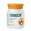 Healing Hands Turmocin Tablet for Effective Gut Health, Immunity, Wound Healing, Inflammation Relief with Goodness of Turmeric & Pepper, Clinically Proven, Herbal - 60 Tablets