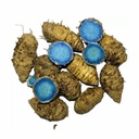 Kali Haldi (Root, 100 Gm) / Black Turmeric/Narkachur/Narkachoor