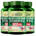 Vlado's Himalayan Organics Vitamin B12-500 mcg - Active form of Methylcobalamin Vitamin B12 Supplements for Men & Women (Pack of 3) - 180 Veg Tablets