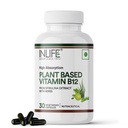 INLIFE Plant Based Vitamin B12 Supplement, Spirulina Moringa, 30 Veg Caps