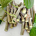 Giloy Fresh Medicinal Herb Stems, Natural Green, Raw Cut Form, Traditional Ayurvedic Plant Material, set of 30 stems