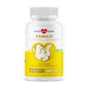 Same for Dogs 120 Tablets - Liver Supplement, Brain & Mood Support | S-Adenosyl-L-Methionine formula. Supports liver function, brain health & mood. Daily cognitive support.