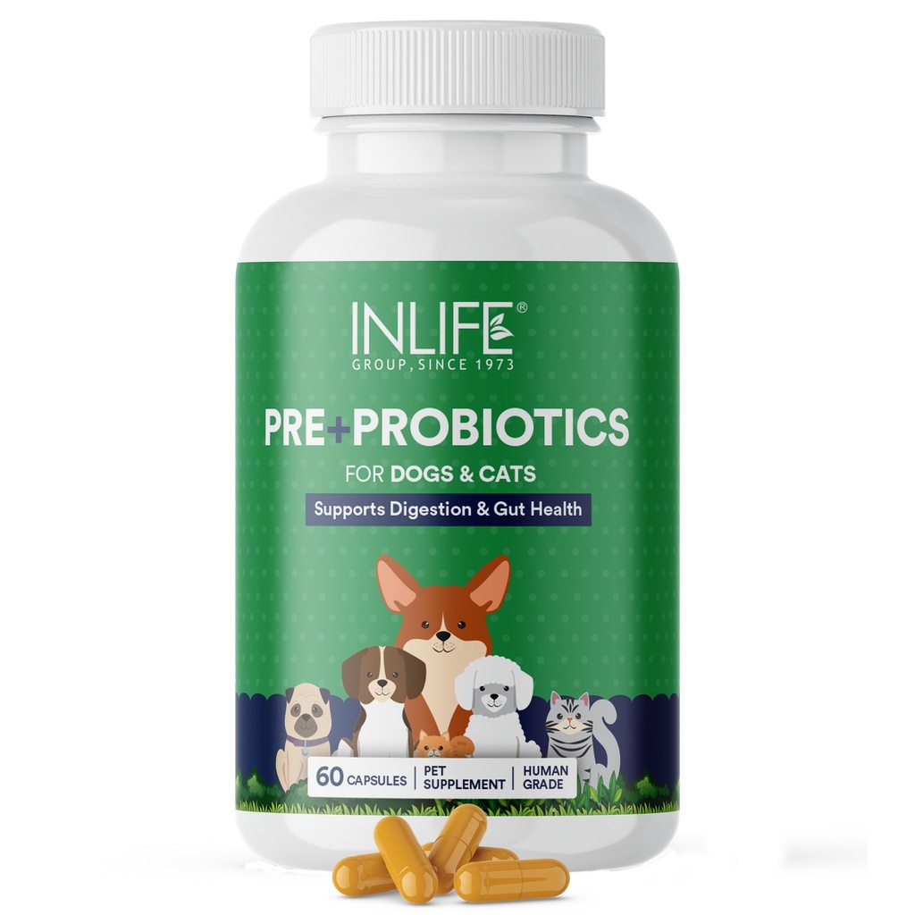 INLIFE Pre and Probiotics Supplement for Dogs Cats, 5 Strains, 60 Capsules