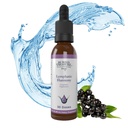 Buried Treasure Lymphatic Harmony Drops - 2oz, 30 Servings, Lymphatic Supplement with Cleavers, Burdock, Echinacea, and Astragalus