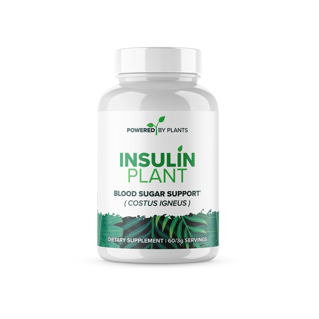 Insulin Plant Capsules - 3000mg Costus Igneus Leaf Powder with No Binders, Fillers & Gluten - Vegan, Non GMO Supplements for Women & Men by Powered X Plants, 240 Capsules