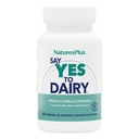 NaturesPlus Say Yes to Dairy - 50 Chewable Tablets - Natural Lactase Enzyme Supplement - Maximum Strength Digestive Aid - Lactose Intolerance Relief - Gluten Free - 50 Servings