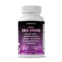 Vitamatic Sea Moss with Black Seed Oil, Ashwagandha, Turmeric, Bladderwrack & Burdock – Concentrated Botanical Extract – Vegan, Non-GMO, Plant-Based Capsules – 180 Count