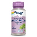 SOLARAY Ginkgo Biloba Extract with Gotu Kola - Ginko Biloba Capsules for Brain Health Support - Vegan, Lab Verified, 60-Day Guarantee - 60 Servings, 60 VegCaps (60 VegCaps)