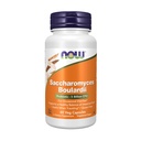 Now Foods, Saccharomyces Boulardii, 60 Veg Capsules, 60 grams