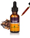 Herb Pharm Clove Liquid Herbal Extract: USDA Organic | Occasional Gas & Indigestion Support | Clove Supplement Made with Ground Cloves | Gluten-Free, Sugar-Free, Vegan, Up to 5 Week Supply, 1 oz*