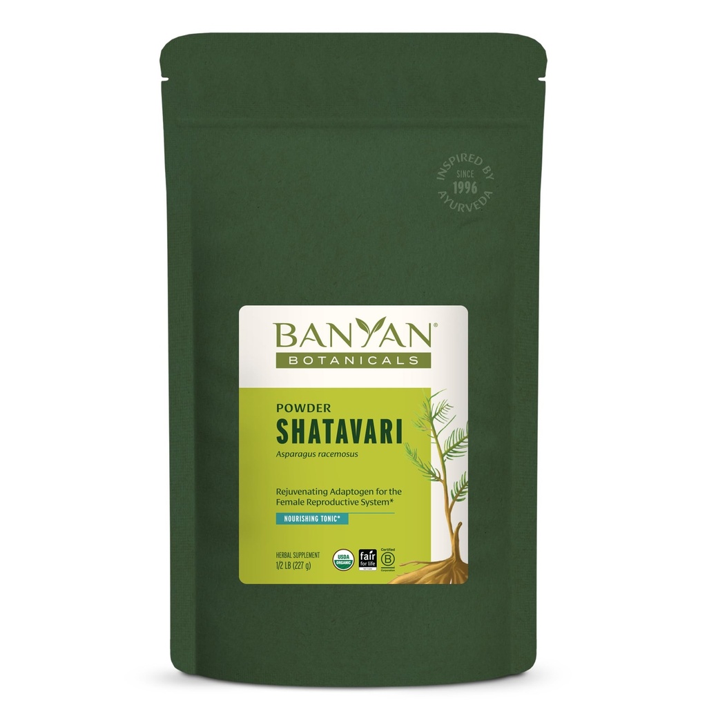 Banyan Botanicals Organic Shatavari Powder – Rejuvenating Tonic for Feminine Vitality & Resilience – Cooling Adaptogen for Internal Hydration & Systemic Nourishment – 1/2 lb – USDA Organic