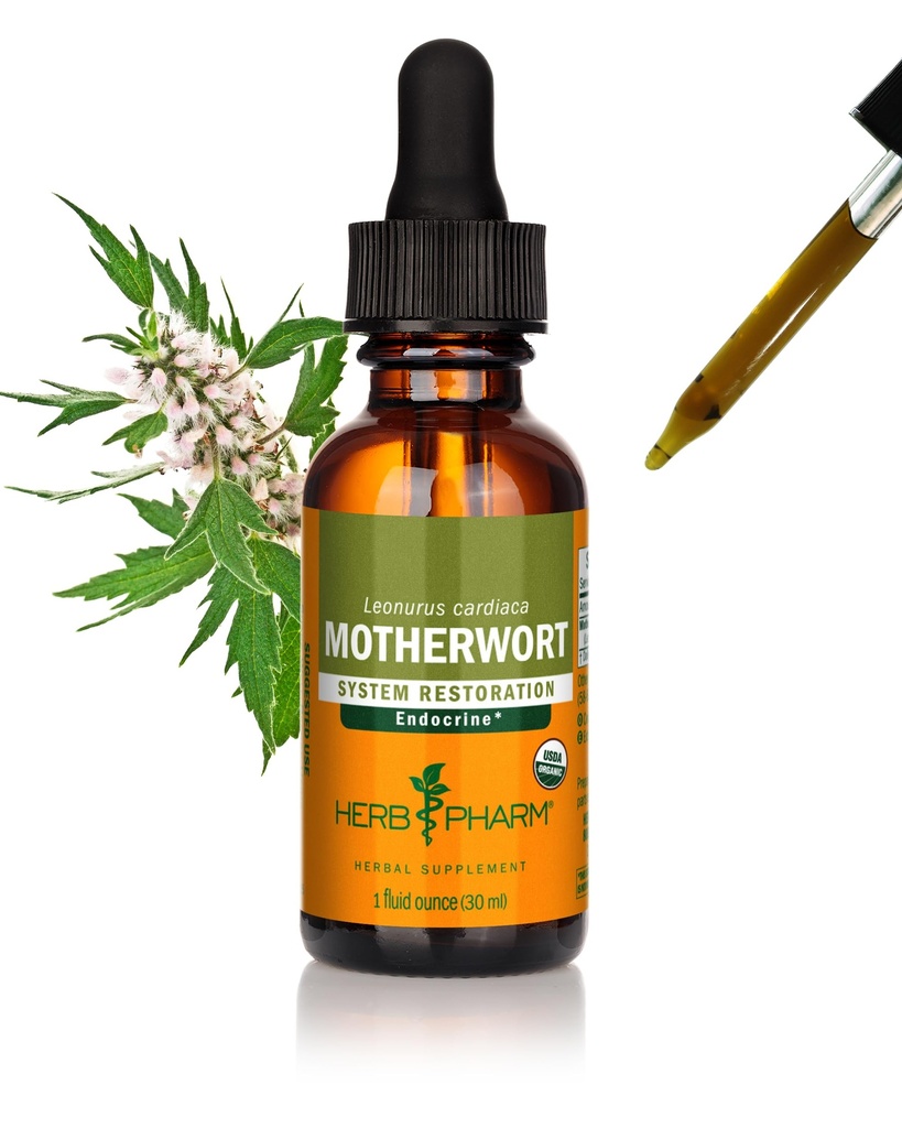 Herb Pharm Certified Organic Motherwort Liquid Extract Drops for Endocrine System Support, 1 Oz