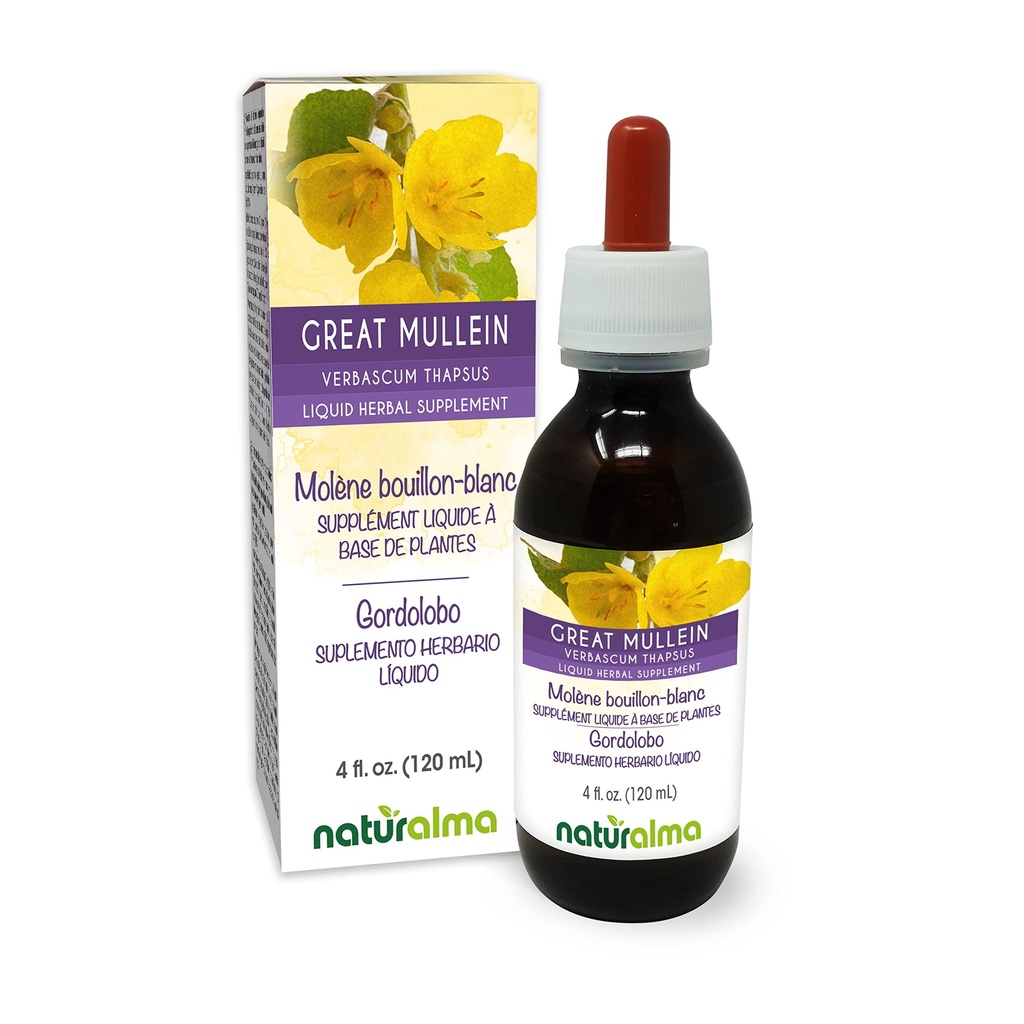 Naturalma Great Mullein or Common Mullein (Verbascum thapsus) Flower and Leaf Alcohol-Free Tincture - 4 fl oz Liquid Extract in Drops - Herbal Supplement - Vegan