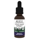 Host Defense Mushrooms Lion's Mane Extract - Lion's Mane Liquid Supplement for Brain Health - Mushroom Support for Focus & Memory Function - Immune & Nervous System Support - 1 fl oz (30 Servings)*