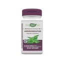 Nature's Way Andrographis Standardized Extract, 60 Vegicaps