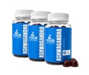 Ashwagandha Gummies with KSM-66 & Lion’s Mane Mushroom - Adaptogen Supplement with Vitamin D, Lemon Balm & Ginger, Vegan Non-GMO Gluten Free, Kosher, 90 Day Supply, 180 Count, 3 Pack