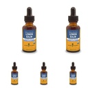 Herb Pharm Certified Organic Lemon Balm Liquid Extract for Calming Nervous System Support, Organic Cane Alcohol, 1 Ounce (Pack of 5)