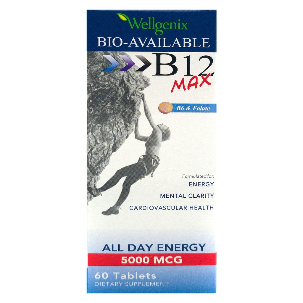 Wellgenix Bio-Available Sublingual B12 B6 Folate Vitamin Formulated for High Absorption - Nutritional Multivitamin Supplement (60 ct) 1 Pack