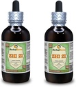 Zhi Zi, Gardenia (Gardenia Jasminoides) Glycerite, Organic Dried Fruit Alcohol-Free Liquid Extract (Brand Name: HerbalTerra, Proudly Made in USA) 2x4 fl.oz (2x120 ml)