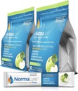 NormaLyte Oral Rehydration Salts-2 Pouches - 60 Sticks (Yields 500mL per Pack)-Apple| Energy Supplements, Potassium Supplement, Dehydration Recovery and Quick Absorption