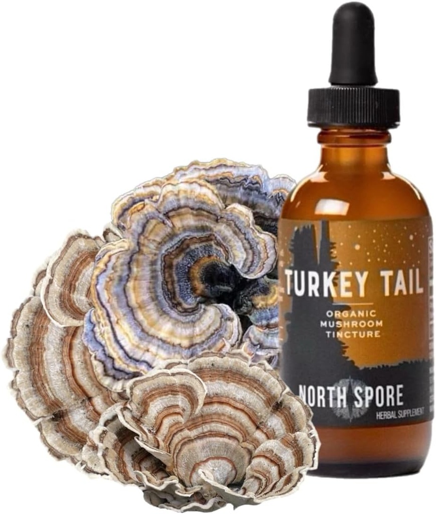 North Spore Organic Turkey Tail Tincture | Mushroom Supplement for Immune Wellness | Sustainably Grown & Confirmed for Potency | Trametes Versicolor Extract | Vegan, Non-GMO - 2oz