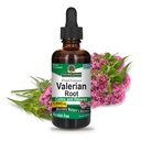Nature's Answer Valerian Root | Promotes Restful Sleep | Calms & Relaxes | Super Concentrated 1000mg | Gluten-Free, Alcohol-Free, Kosher Certified & Vegan 2oz (Pack of 2)