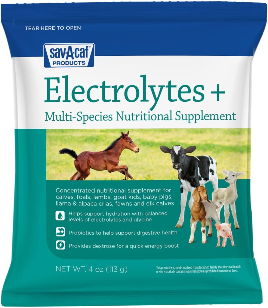 Sav-A-Caf | Electrolytes Plus Multi-Species Supplement | 4 Ounces (4 OZ) Packet