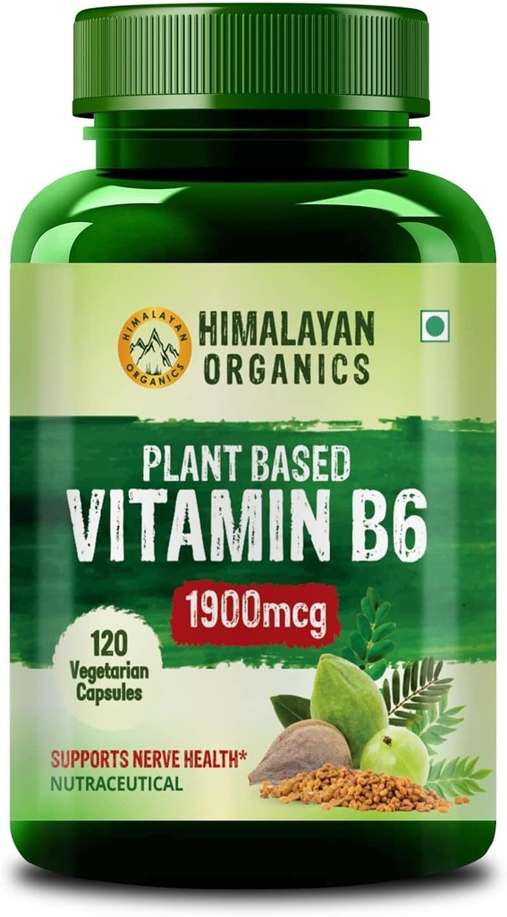 Plant-Based Vitamin B6 | Supports Immunity, Brain Health (120 Capsules)
