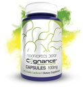 Nootropics Depot Cognance Enhanced Bacopa Capsules | 100mg | 10% Ebelin Lactone | Bacopa monnieri | Mood, Memory, & 5-HT2A Activation, 60 Count (Pack of 1)