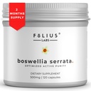 FOLIUS LABS Boswellia Serrata Extract Supplement 500mg - Healthy Joint Support, Muscle Relief Support - 65% Boswellic Acids - Extracted from Indian Olibanum/Frankincense, 120 Caps