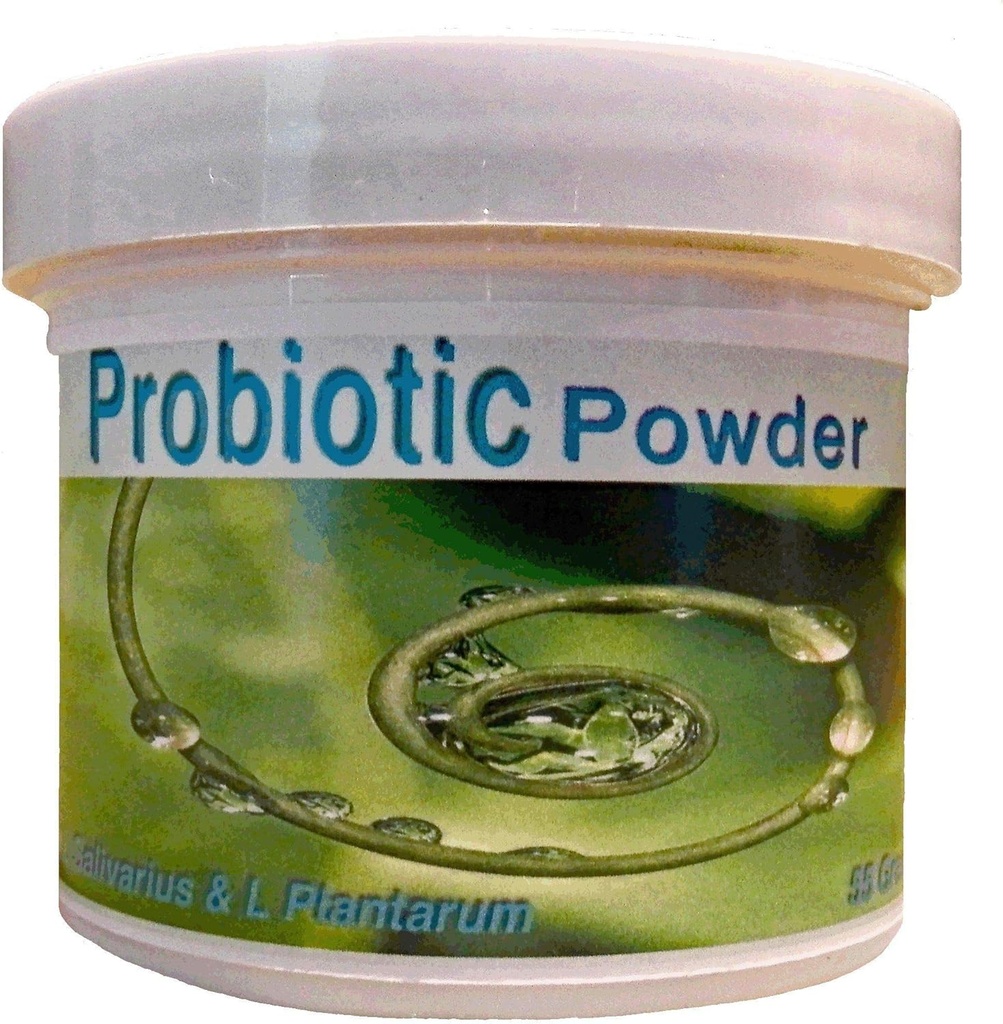 Probiotics Powder 55 Grams