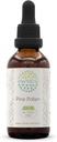 HerbEra Pine Pollen B60 Alcohol Free Herbal Extract Tincture, Concentrated Liquid Drops Natural (Song Hua Fen, Scots Pine, Pinus Sylvestris) 2 fl oz