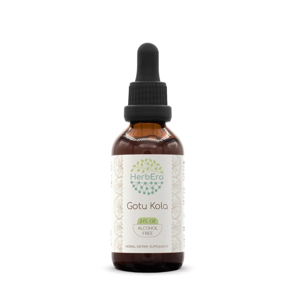 Gotu Kola B60 Tincture Alcohol-Free Herbal Extract, Concentrated Liquid Drops Natural Gotu Kola (Centella Asiatica) 2 fl oz