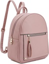 Montana West Girls Backpack Purse Gifts for Kids Anti Theft Backpack with Secured Zipper & Tassel